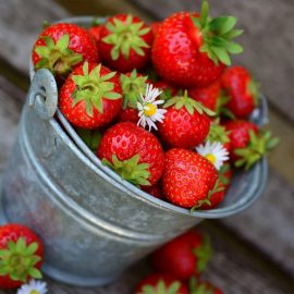 Fraises : les variétés à découvrir