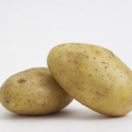 Est-il possible de planter des pommes de terre de consommation germées ?