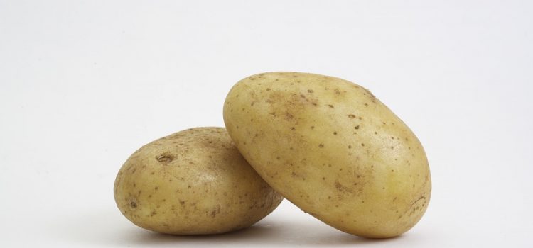 Est-il possible de planter des pommes de terre de consommation germées ?