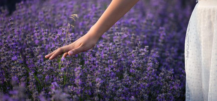 Quel matériau choisir pour son salon de jardin ?