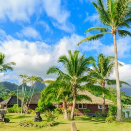 Tahiti : un paradis à découvrir en croisière