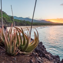 Climat subtropical ou tropical sec : Cap-Vert vs Canaries, quelle météo vous convient ?