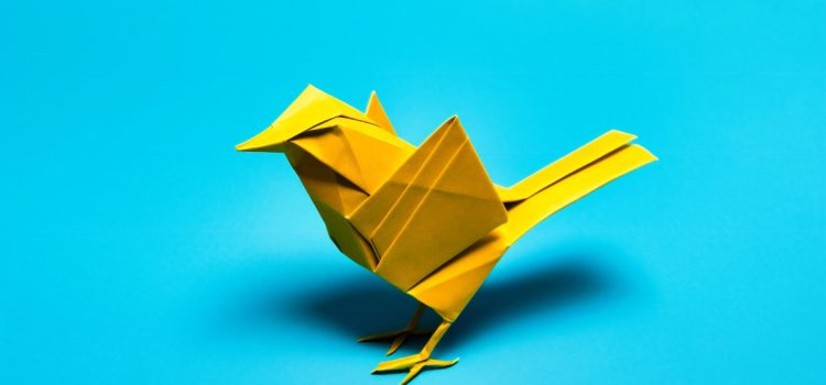 Origami 3D animaux : conseils clés pour réussir vos pliages Origami 3D animaux : conseils clés pour réussir vos pliages